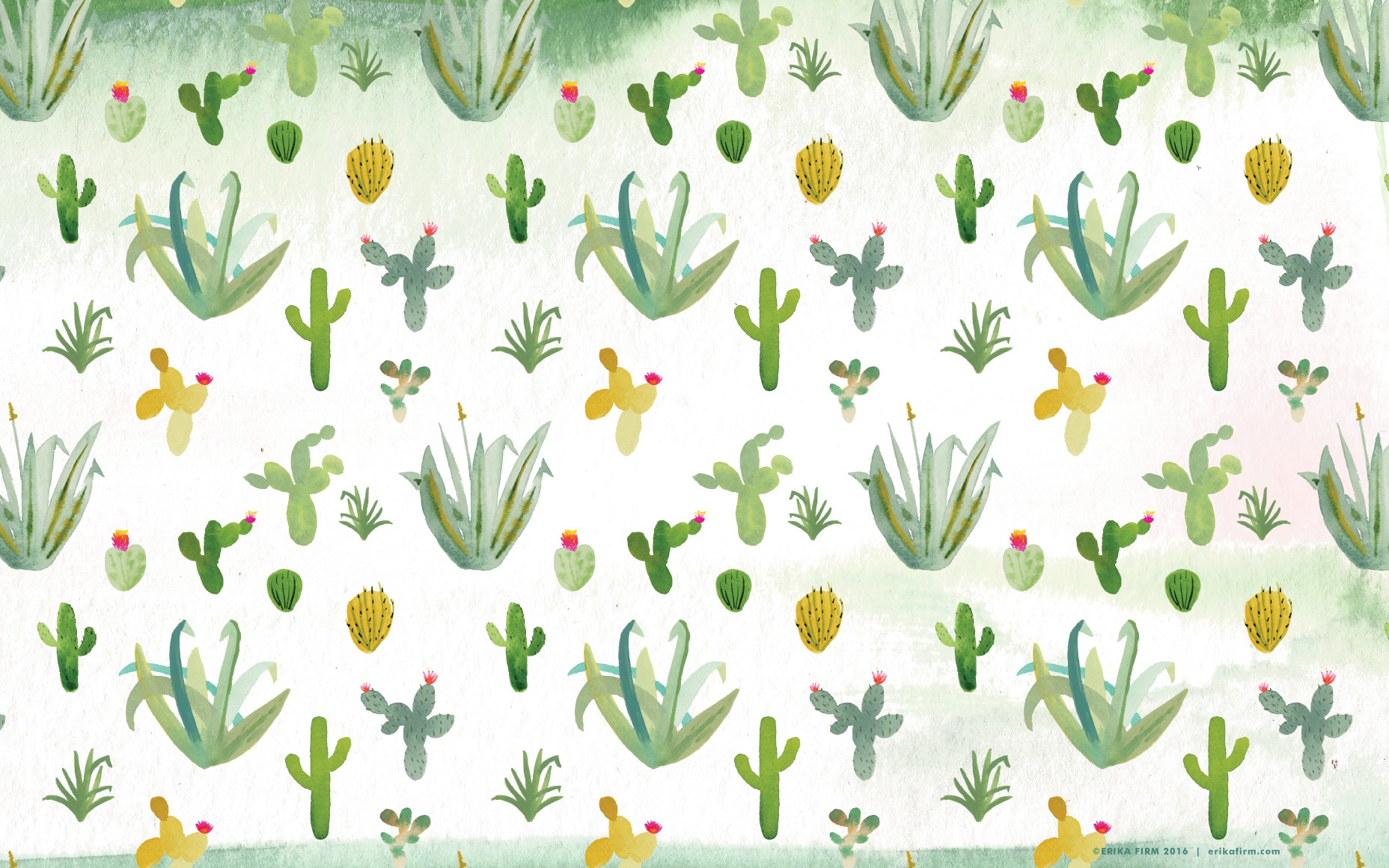Cactus-Wallpaper-By-Erika-Firm - kaktus.id