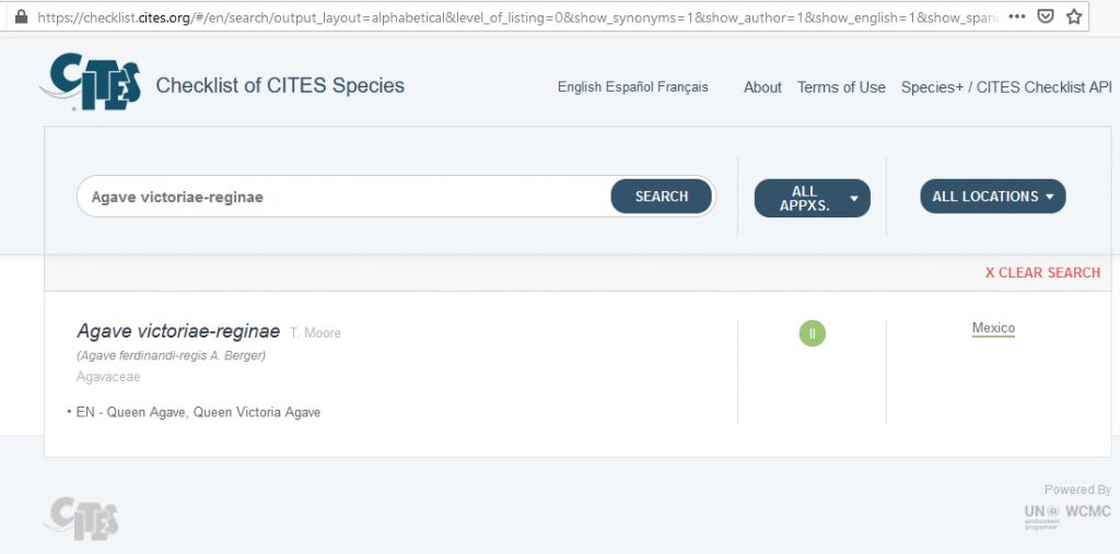 kaktus.id