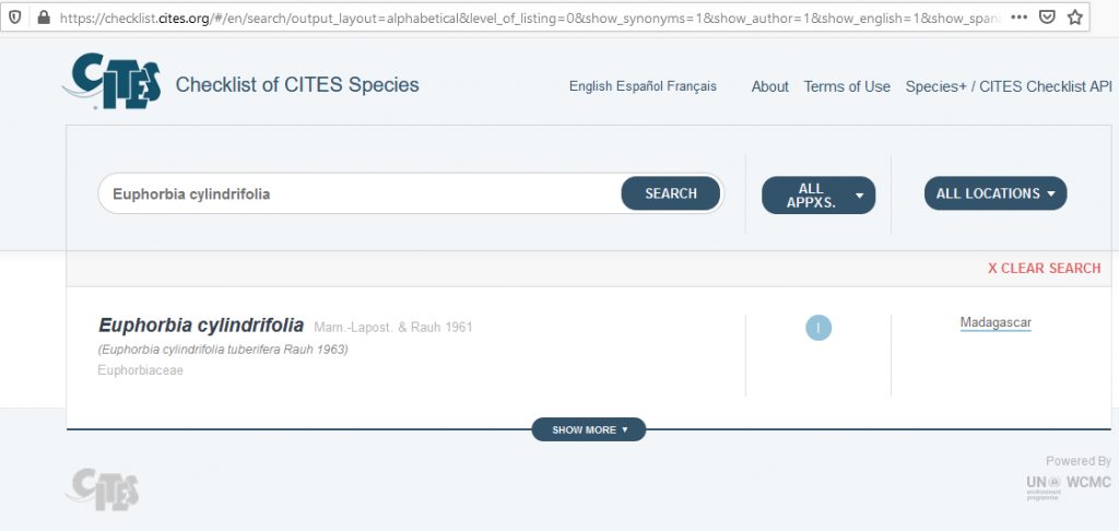 kaktus.id