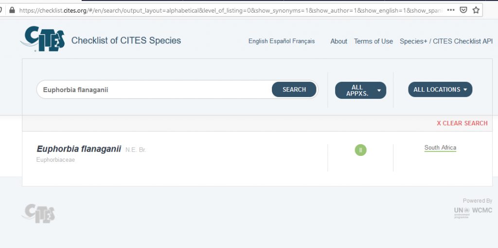 kaktus.id