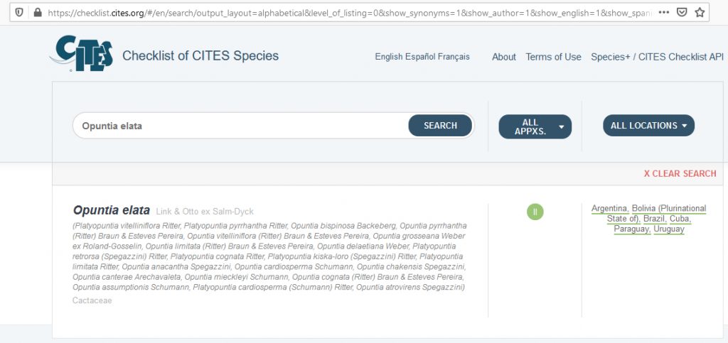 kaktus.id