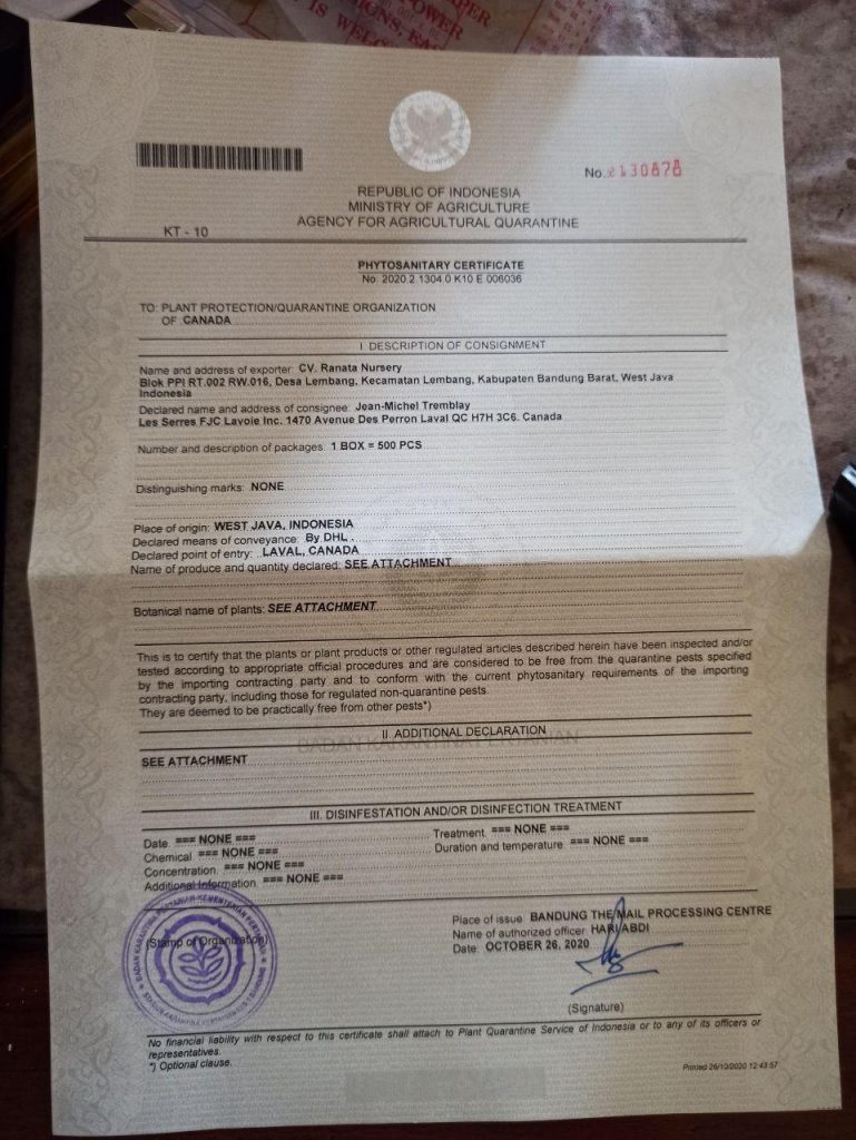 kaktus.id