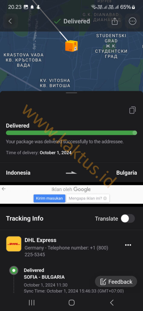 kaktus.id