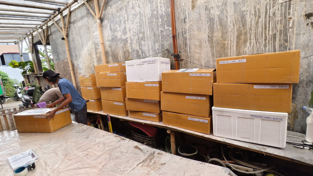 kaktus.id | Kaktus Indonesia Shipment Gallery