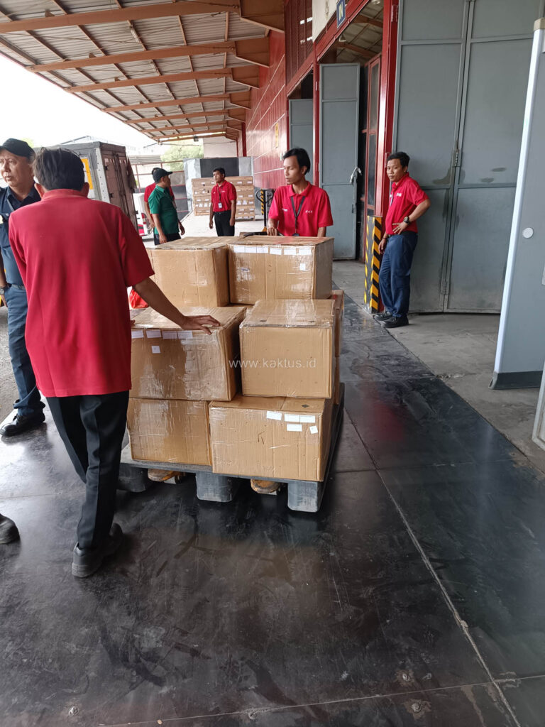 kaktus.id | Kaktus Indonesia Shipment Gallery